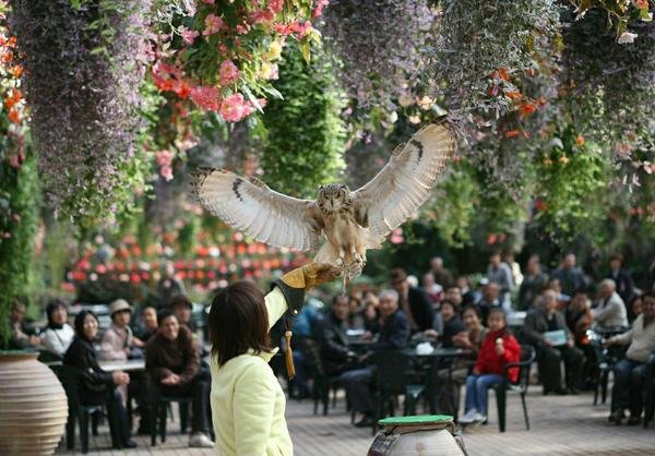 🌸 후지 화조원(후지카초엔) 이미지 4